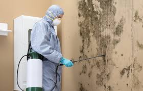 Best HVAC Mold Inspection and Cleaning in Claymont, DE